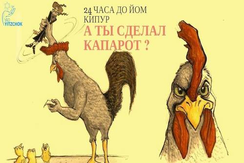 Поторопитесь
