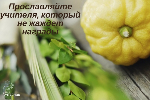 Приближается праздник суккот